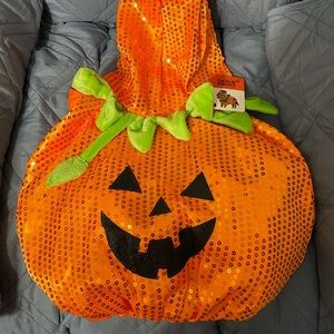 New Pumpkin Halloween Costume